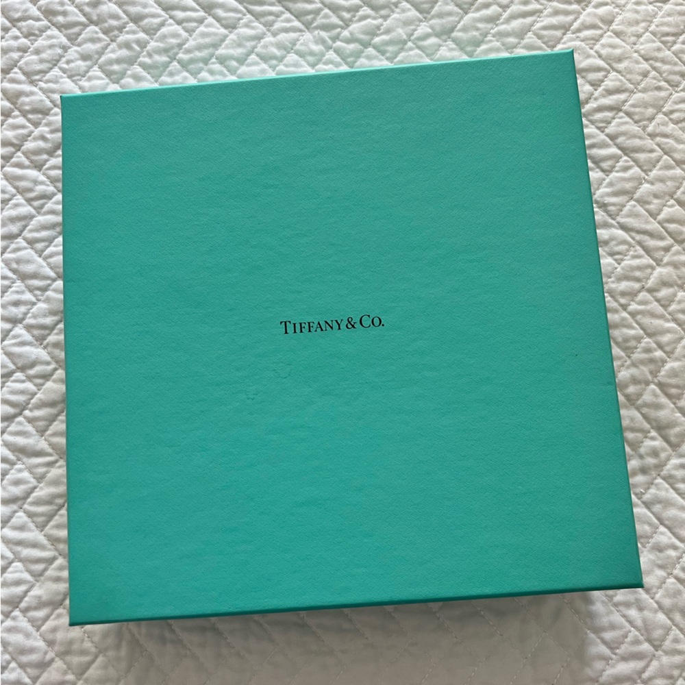 Tiffany & Co. Turquoise Presentation Box